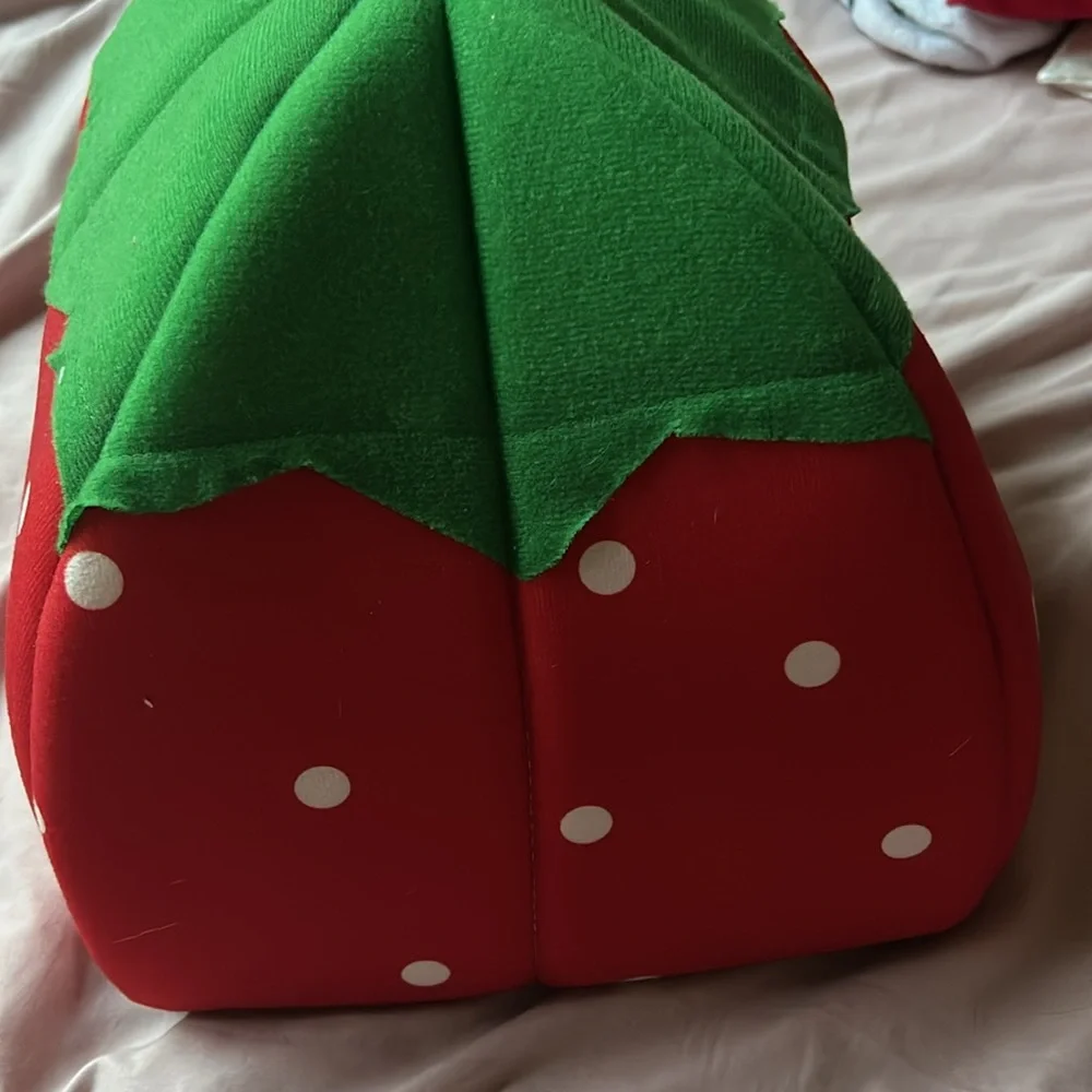 N/A strawberry pet